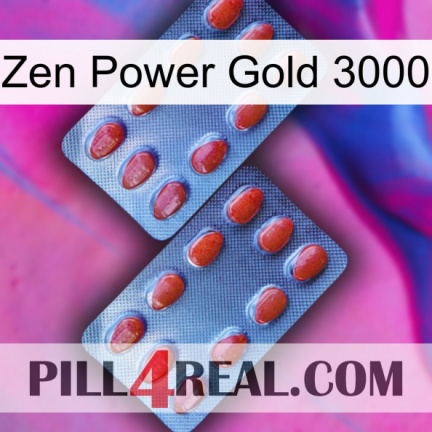 Zen Power Gold 3000 05